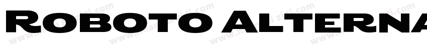 Roboto Alternate Gothic ATF Sto字体转换